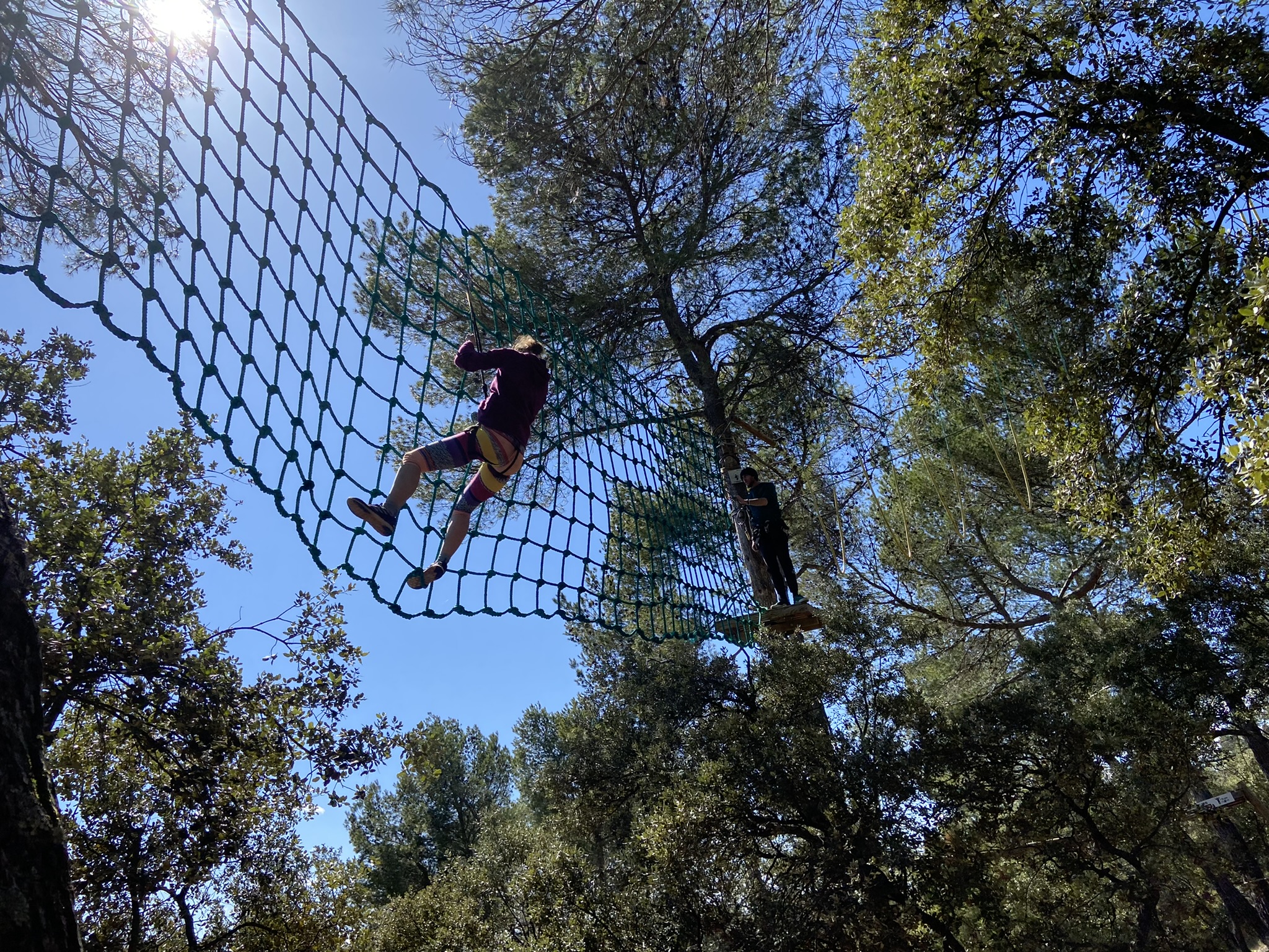 Parcours accrobranche dans les arbres de Forest Sensation